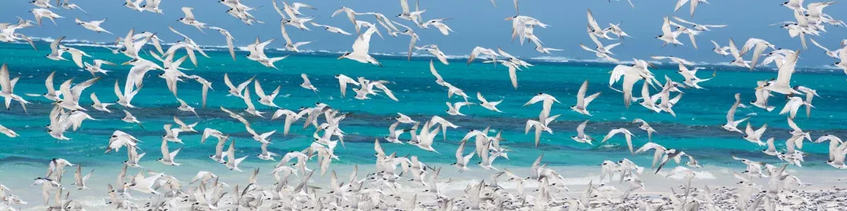 Why Awareness and Self-Awareness Are Important