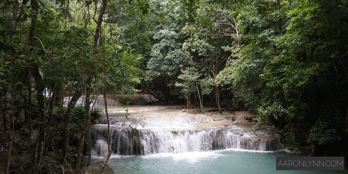 How to Become a True Business Owner