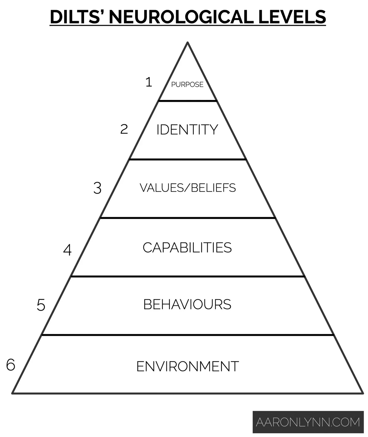Dilts' Neurological Levels