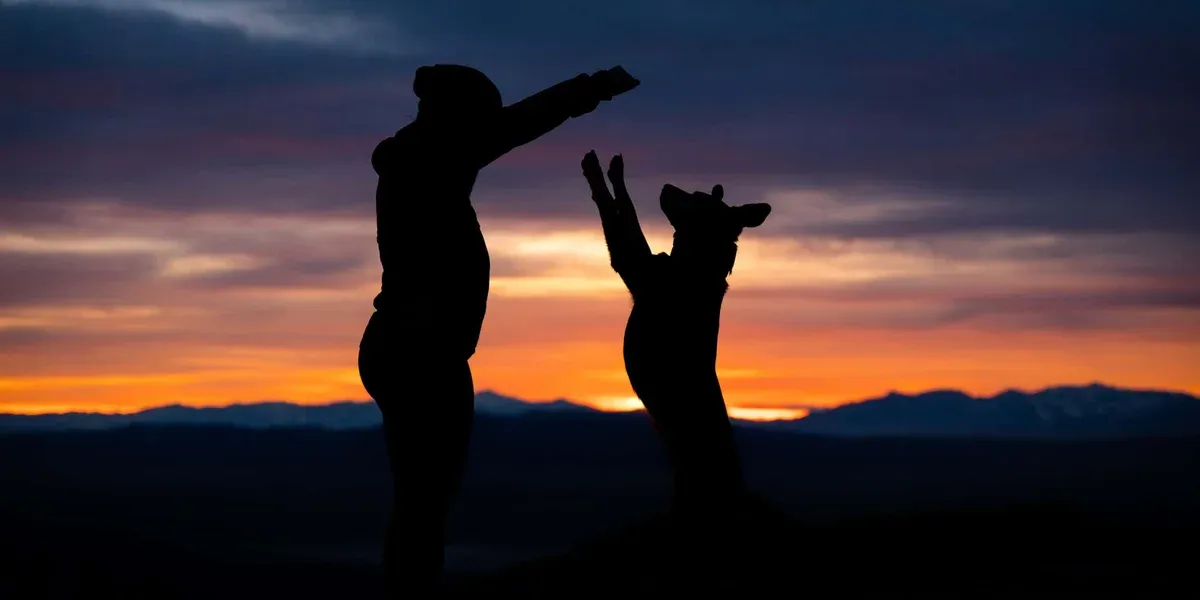 Taking Hard Work to the Next Level