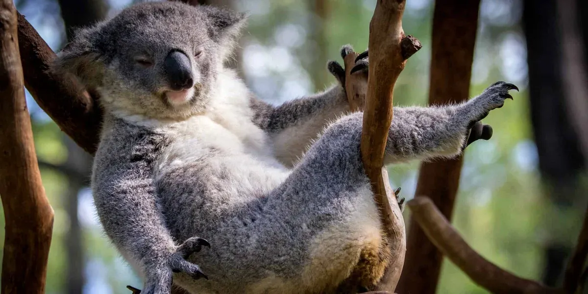 The Importance of Hard Work