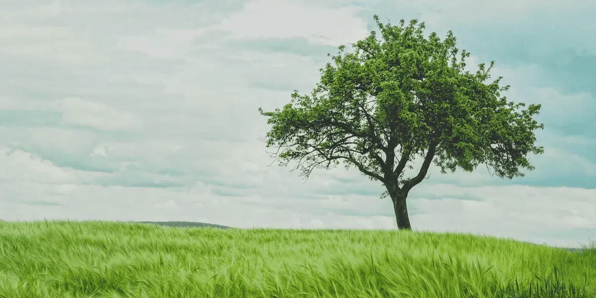 Pick One Habit Per Quarter