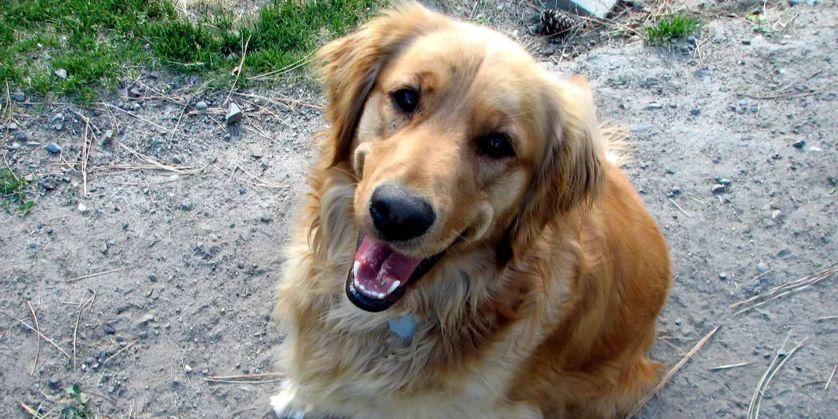 The Endgame of Being Rock Solid