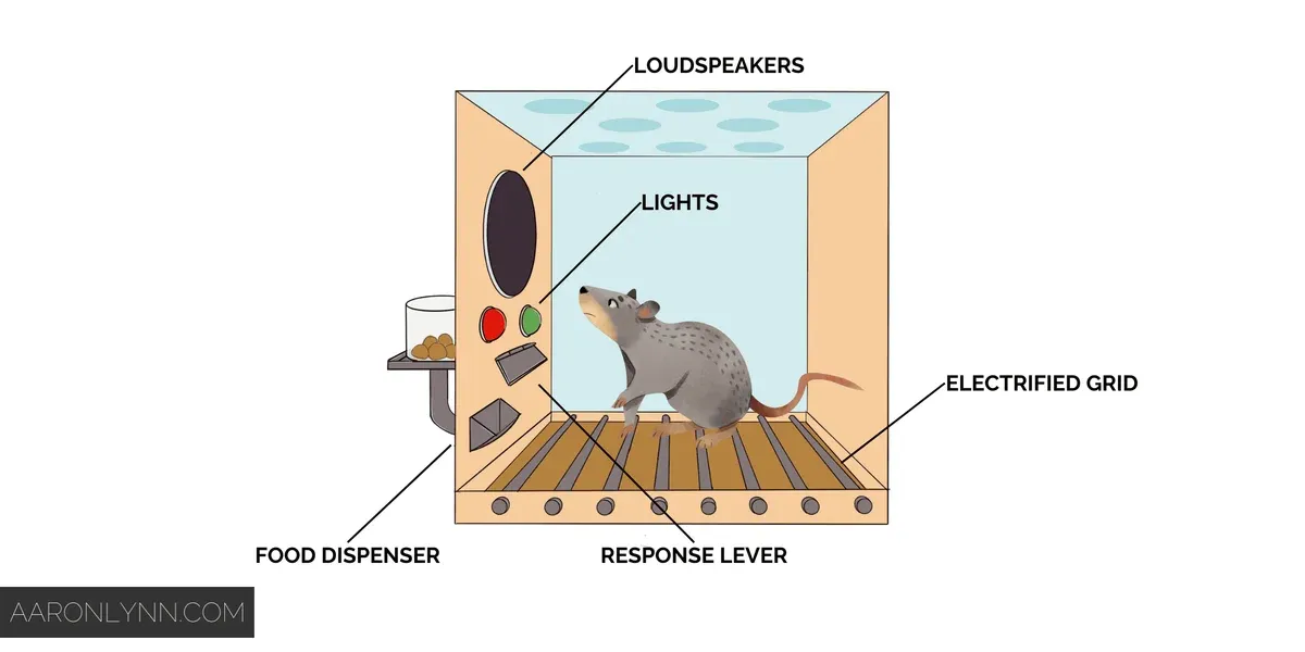 Social Media is a Skinner Box