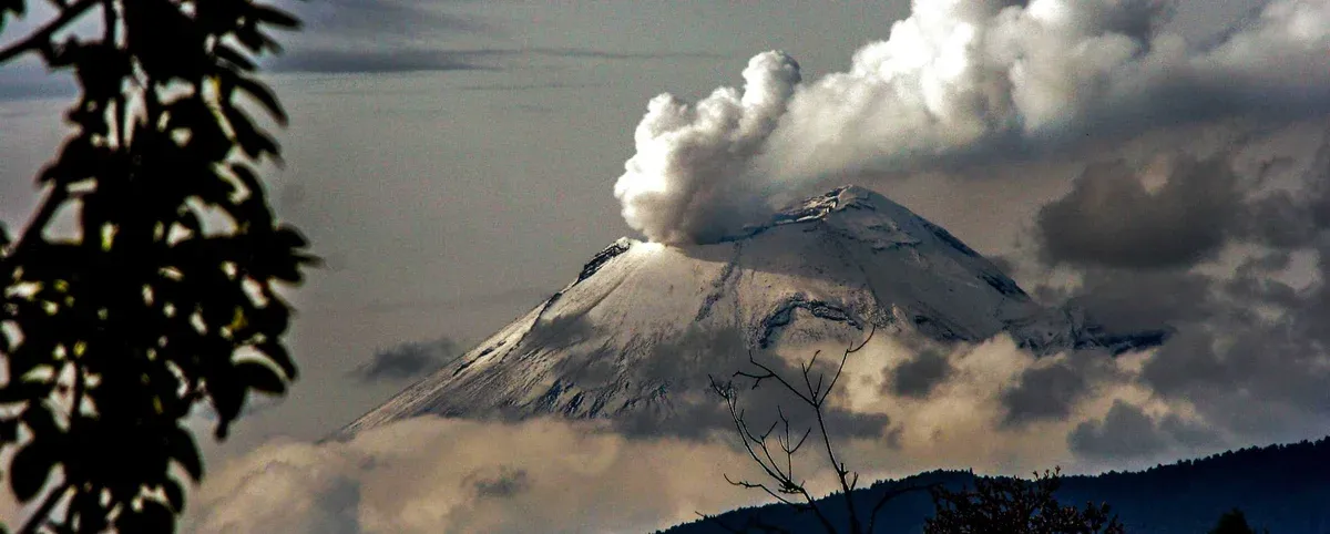 Nature's steam release mechanism